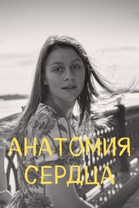 Анатомия сердца